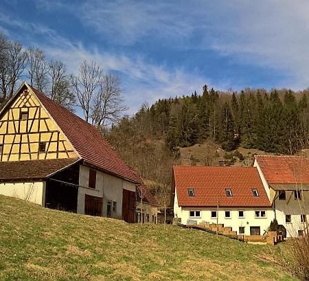 Вілла Muehlenchalet Gundershofen Екстер'єр фото